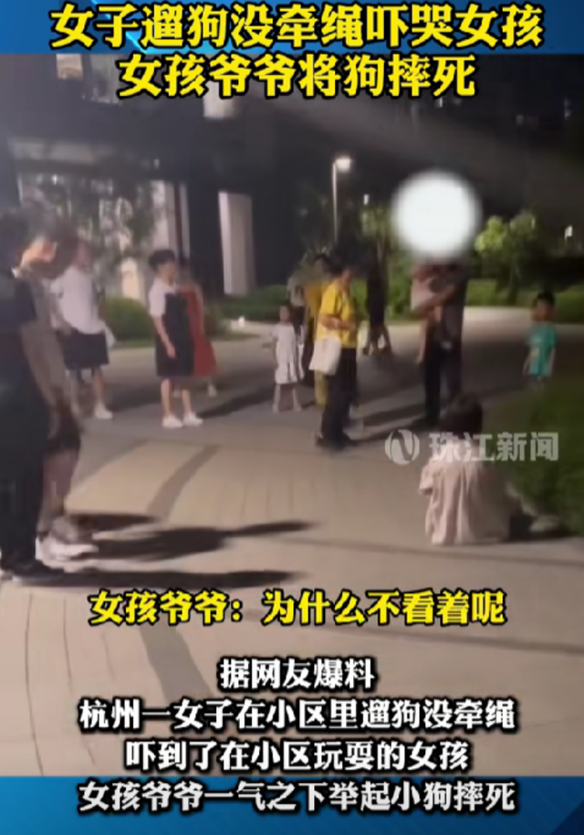 杭州大爷摔狗后续：此狗是价值十几万的名犬，律师发声：无需担责