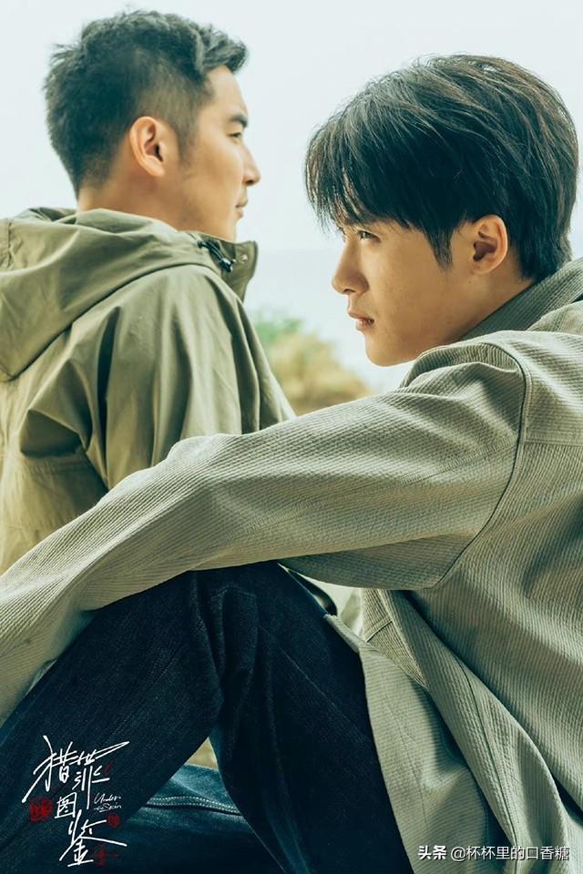 2022悬疑剧评分榜！《回廊亭》4.0，《开端》7.8分，冠军8.4分