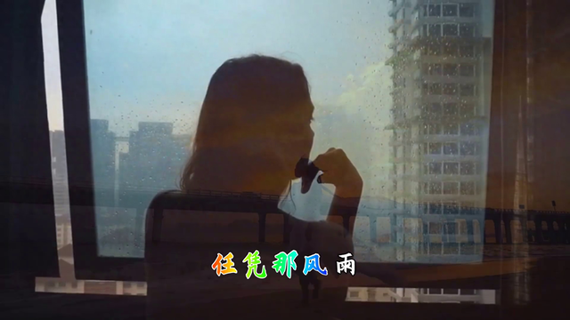 苏芮演唱的歌曲旋律优美，悦耳动听，深受广大歌迷喜欢。