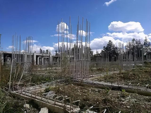 李亚鹏出事了！在街头大秀恩爱的女友，知道他欠债4000万吗？