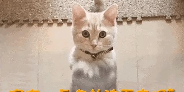 “藏”了30年,韩红的父母原来是家喻户晓的他们,难怪都不敢得罪