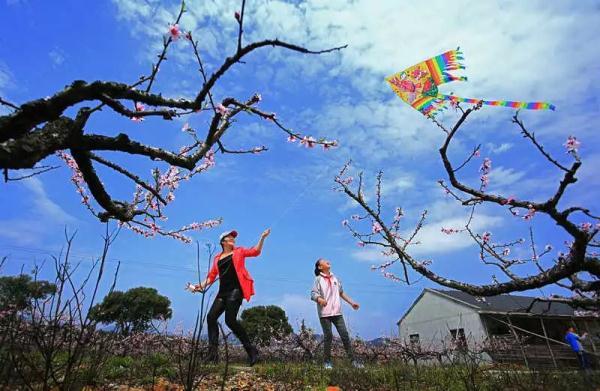 今日春分,花开燕归来,莫负春光好