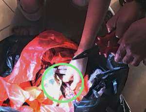 使劲啊(救我我被一斤重的螃蟹夹住手了,它又在用力我好痛啊~)