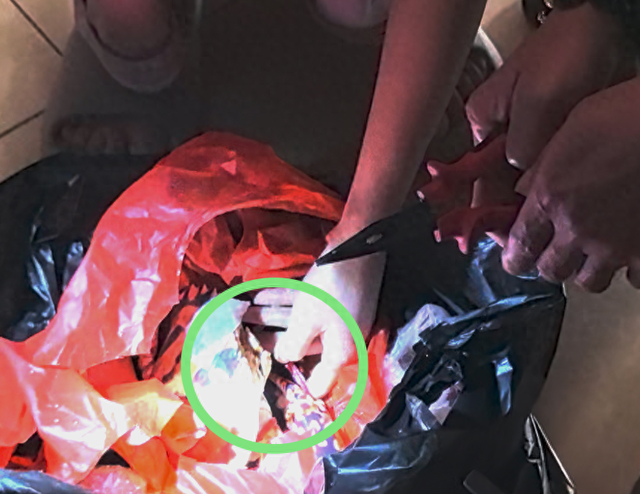 救我！我被一斤重的螃蟹夹住手了，它又在用力！我好痛啊～
