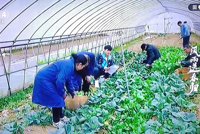 推荐一部反腐倡廉的电视剧《风雨送春归》（三）