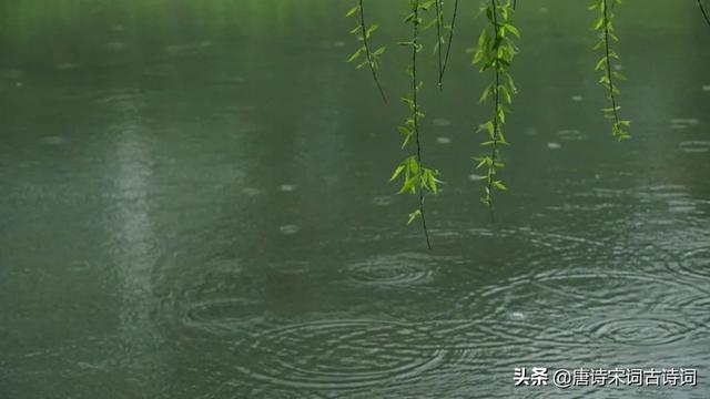 苏轼的春天，也无风雨也无晴