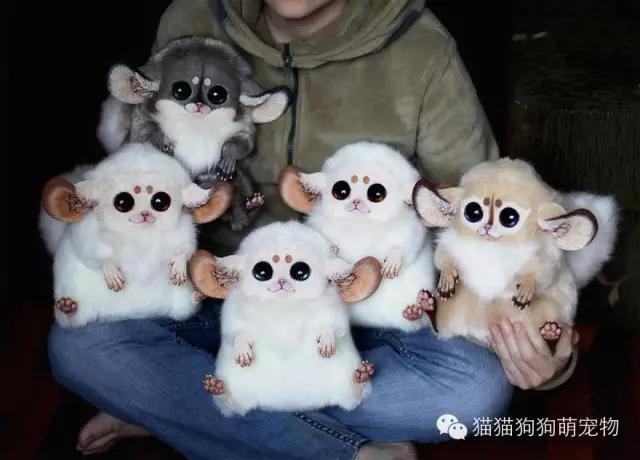俄罗斯女孩制作的虚构动物玩偶，好逼真！