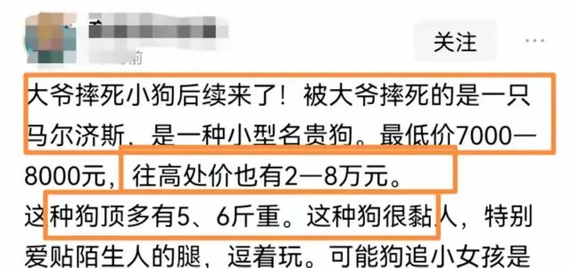 杭州大爷摔狗后续：此狗是价值十几万的名犬，律师发声：无需担责