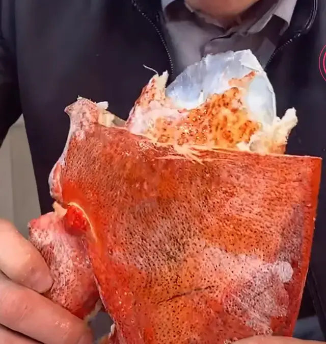 海鲜吃播神一样的操作,你见过吗?