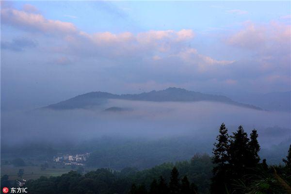 潇湘诗会《诗人阵线》丨任白:诗十首