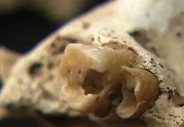 曹操墓被发掘时，现场发现真实的曹操原来是这样的，身高只有156