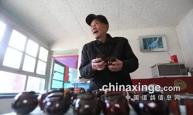 鸽子背上的风情——鸽哨