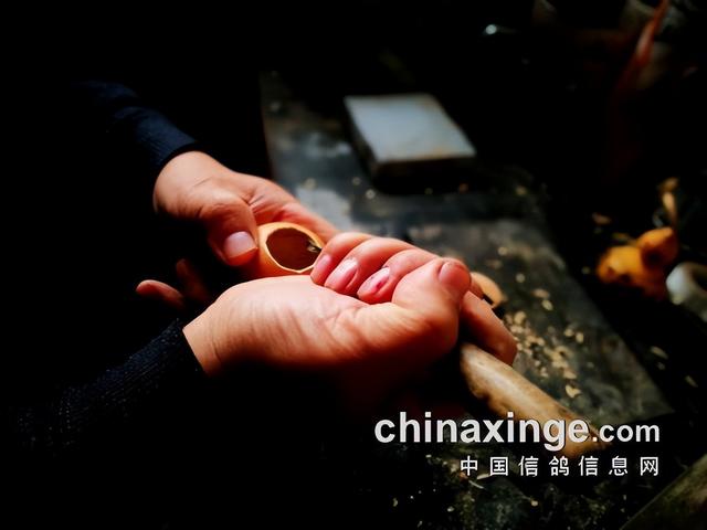 鸽子背上的风情——鸽哨