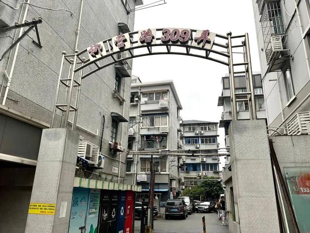 根本坐不住!这群“闲不住”的老邻居志愿服务邻里近十年……