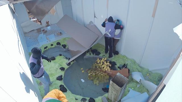 专访／大型道具砸向俞利！Dex一手抱住她　金东炫、刘在锡原地看呆了