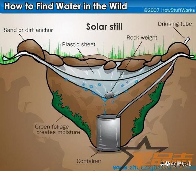 周末特辑:“荒漠求生”揭秘