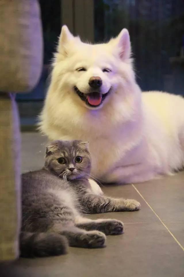 不知道这十大网红,你这些年就白上网了