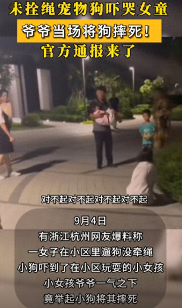 杭州大爷摔狗后续：此狗是价值十几万的名犬，律师发声：无需担责