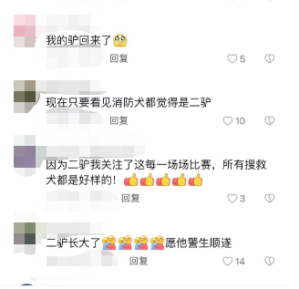 显眼包“二驴”再现赛场!表现如何?