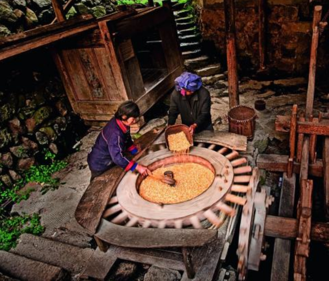 我们为什么要吃米面？南北主食从何而来