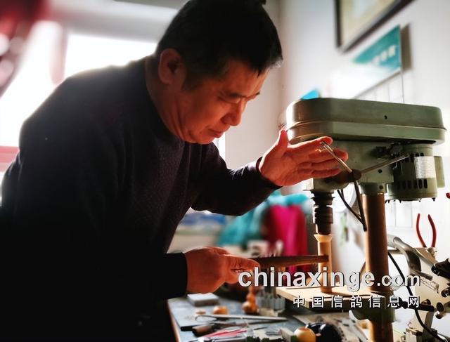 鸽子背上的风情——鸽哨