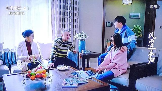 推荐一部反腐倡廉的电视剧《风雨送春归》（三）