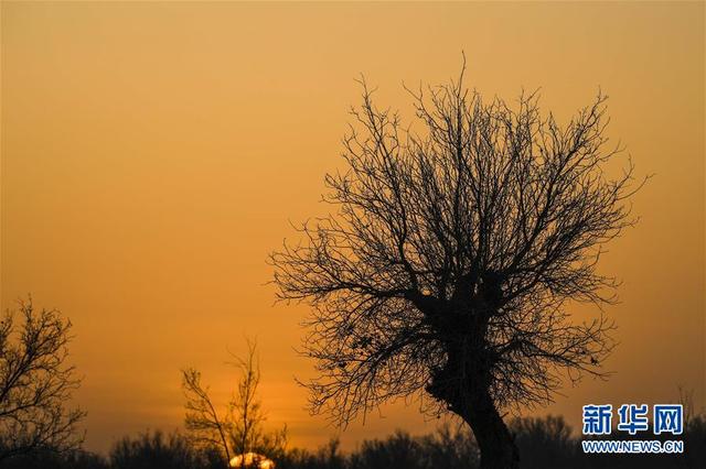 一步千年,“最后的沙漠部落”迁入新家园