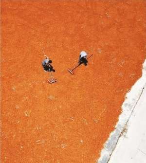 高梁红了(高粱红了)