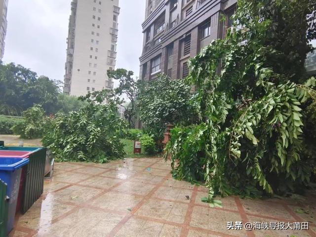 “杜苏芮”来袭!福建史上第二强!莆田最新消息......