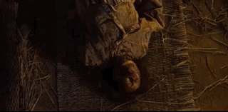 流行元素包裹的王权争夺战——《王国第1季》