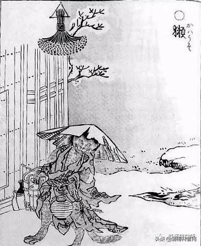 又是一年“獭祭”时丨“河童”原型是如何灭绝的?