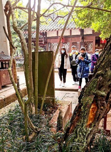 时光｜文月：回声