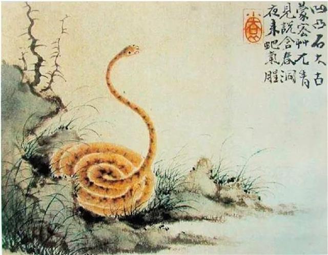 画中蛇瑞|是图腾崇拜,也是游走的线条