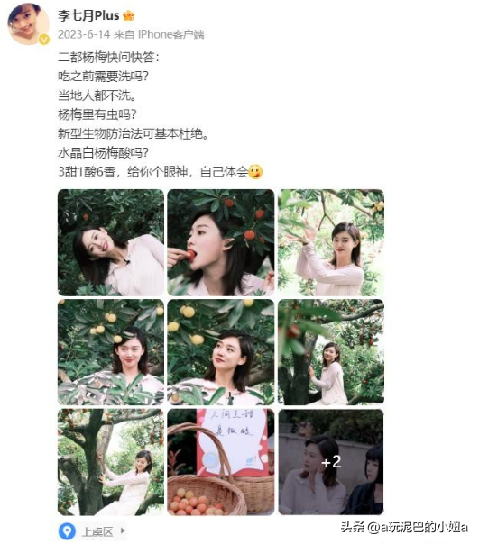 从央视消失,被誉为“董卿接班人”的李七月,如今走上了另一条路