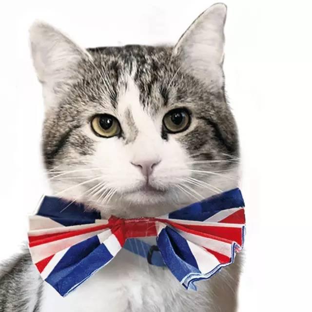 不知道这十大网红,你这些年就白上网了