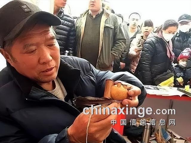 鸽子背上的风情——鸽哨