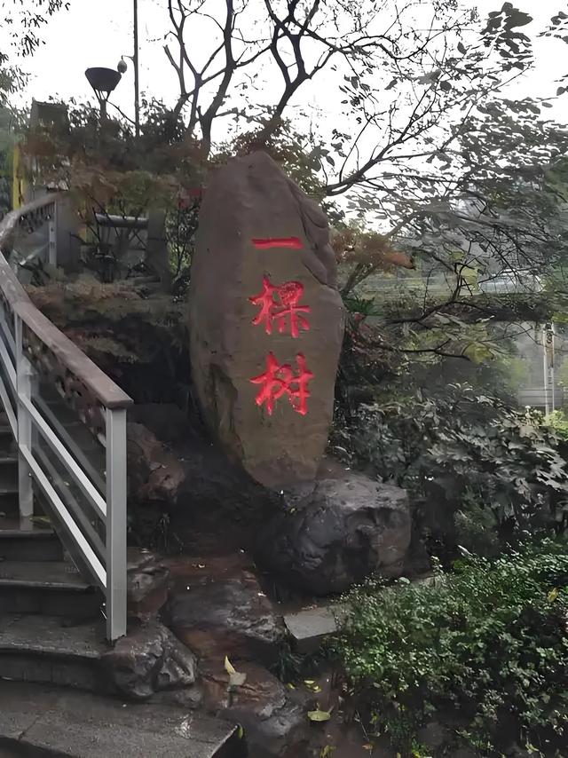 山城打卡指南:全网热推,解锁8D魔幻都市!重庆