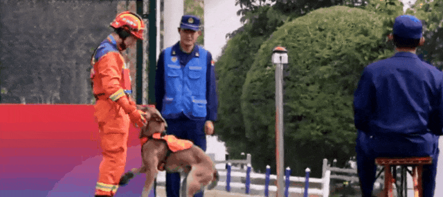 显眼包“二驴”再现赛场!表现如何?