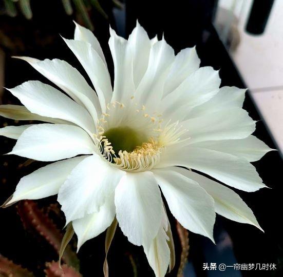 这辈子爱不够，下辈子，我还爱你