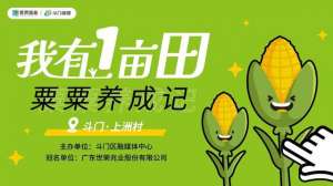 粟粟(即将上演斗门“粟粟养成记”摸鱼、抓鸡、掏蛋、拓染…)