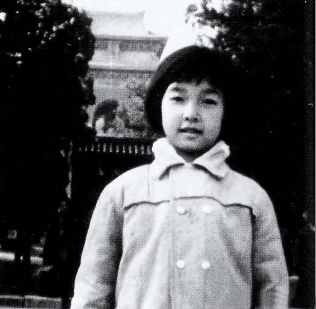 江珊离婚19年,婚事将近,前夫高曙光的人生状况怎样?