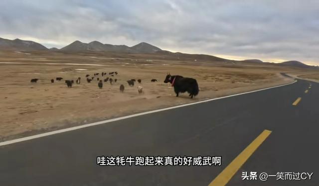 刘伟元冬季骑行西藏,骑行经历和视频内容,得到广泛的好评和认可