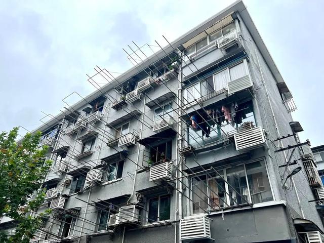 根本坐不住!这群“闲不住”的老邻居志愿服务邻里近十年……