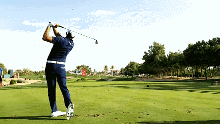 全球唯一邓丽君空中花园，坐落美乐城六层，春节期间华彩绽放