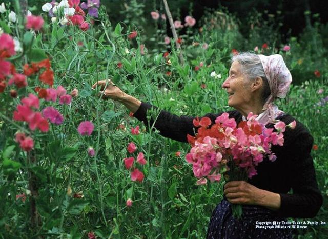 两个中国“神仙奶奶”穿旗袍游巴黎,意外走红网络:老了,也要优雅成一道风景线