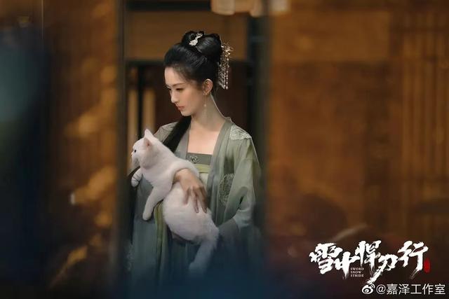 雪中悍刀行:盘点徐凤年的后宫,陆丞燕凭什么能够成为北凉正妃