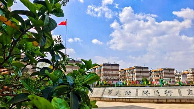 “守望云心”校长访谈丨云南大学附属中学:用心育守护学生的心灵之花