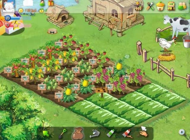 中国最小黑客汪正扬：8岁学编程，12岁建立网站，后来怎么样了？