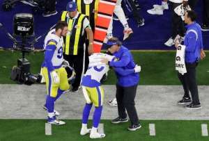 superbowl(球迷错把“bowl”打成“owl”,猫头鹰成了美国“超级碗”潮梗)