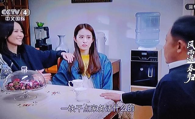 推荐一部反腐倡廉的电视剧《风雨送春归》（三）